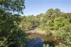 Stonebridge Tract 20