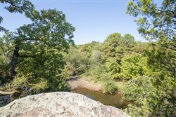 Stonebridge Tract 20