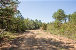 Stone Bridge Phase I Tract 23