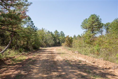 Stone Bridge Phase I Tract 23