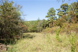 Stone Bridge Phase I Tract 23