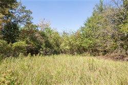 Stone Bridge Phase I Tract 23