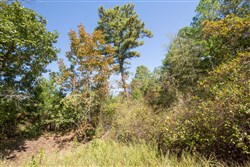 Stone Bridge Phase I Tract 23