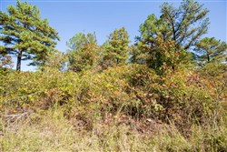 Stone Bridge Phase I Tract 23