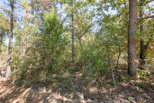 Stonebridge Tract 25