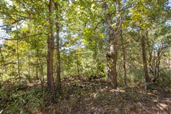 Stonebridge Tract 25