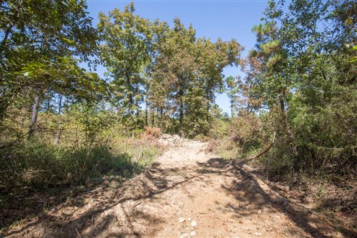 Stonebridge Tract 25