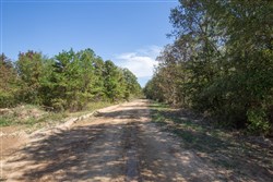 Stonebridge Tract 25