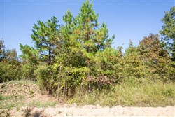 Stonebridge Tract 25