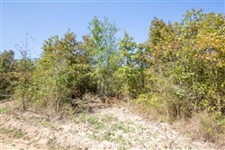 Stonebridge Tract 25