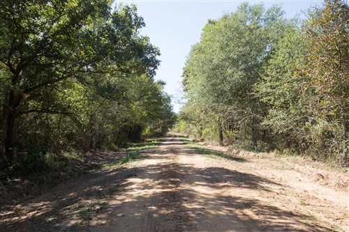 Stonebridge Tract 26