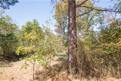 Stonebridge Tract 26