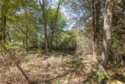 Stonebridge Tract 26