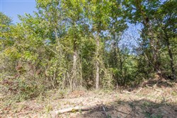 Stone Bridge Phase I Tract 28