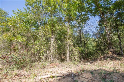 Stone Bridge Phase I Tract 28