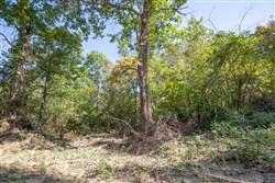 Stone Bridge Phase I Tract 28