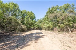 Stone Bridge Phase I Tract 28