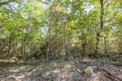 Stone Bridge Phase I Tract 28