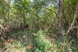 Stone Bridge Phase I Tract 28