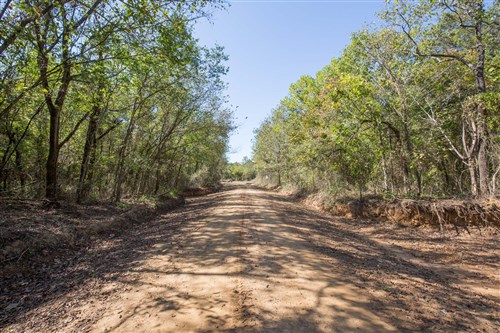 Stone Bridge Phase I Tract 29