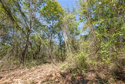 Stone Bridge Phase I Tract 29