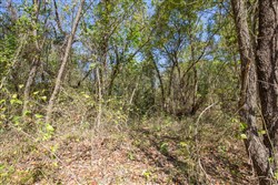 Stone Bridge Phase I Tract 29