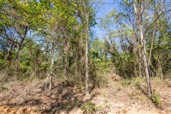 Stone Bridge Phase I Tract 29