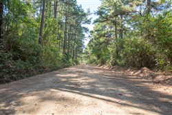Stone Bridge Phase I Tract 4