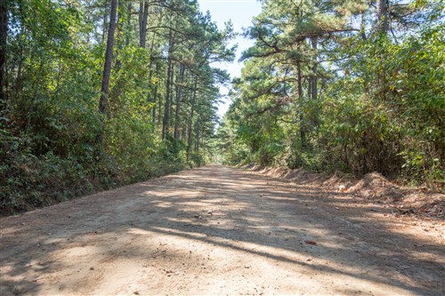 Stone Bridge Phase I Tract 4