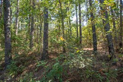 Stone Bridge Phase I Tract 4