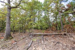 property photo for Stone Bridge Phase I Tract 41, 14.67 acres for sale in LatimerHaskell County, Oklahoma