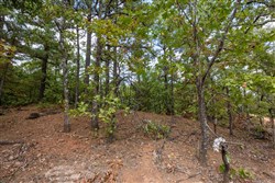 property photo for Stone Bridge Phase I Tract 41, 14.67 acres for sale in LatimerHaskell County, Oklahoma
