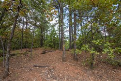 property photo for Stone Bridge Phase I Tract 41, 14.67 acres for sale in LatimerHaskell County, Oklahoma