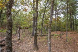 property photo for Stone Bridge Phase I Tract 41, 14.67 acres for sale in LatimerHaskell County, Oklahoma