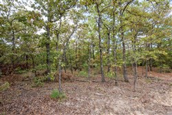 property photo for Stone Bridge Phase I Tract 41, 14.67 acres for sale in LatimerHaskell County, Oklahoma