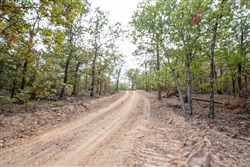 property photo for Stone Bridge Phase I Tract 41, 14.67 acres for sale in LatimerHaskell County, Oklahoma