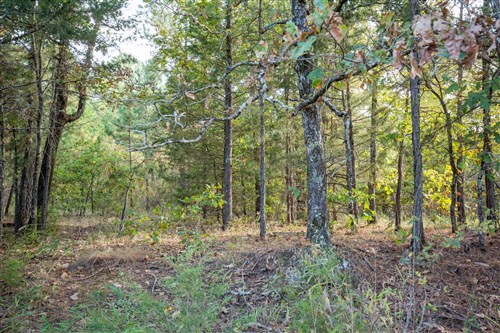 Stonebridge Tract 43