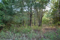Stonebridge Tract 43