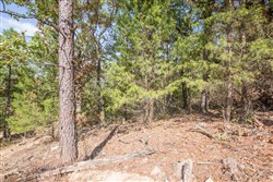 Stone Bridge Phase I Tract 50