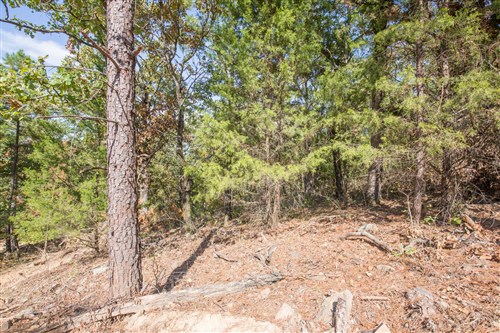 Stone Bridge Phase I Tract 50