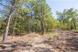 Stone Bridge Phase I Tract 50