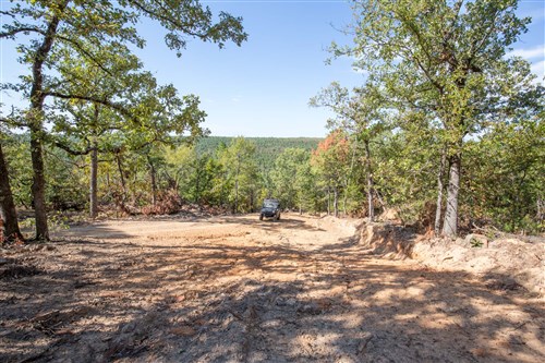 Stone Bridge Phase I Tract 50