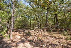 Stone Bridge Phase I Tract 50