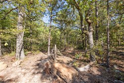 Stone Bridge Phase I Tract 50