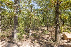 Stone Bridge Phase I Tract 50