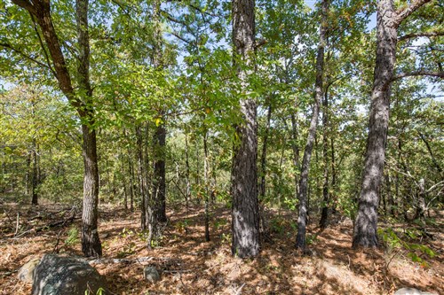 Stonebridge Tract 52
