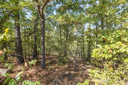 Stonebridge Tract 52