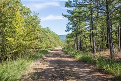 Stonebridge Tract 52