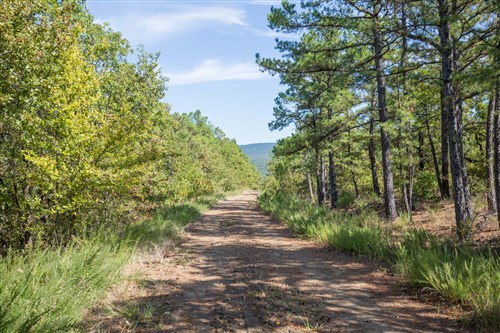 Stonebridge Tract 52