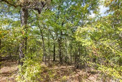 Stonebridge Tract 52